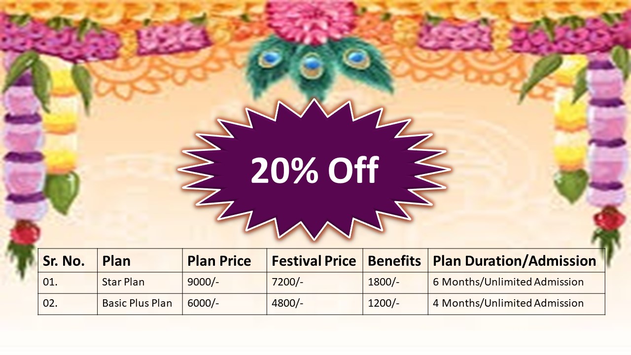 Festival Offer